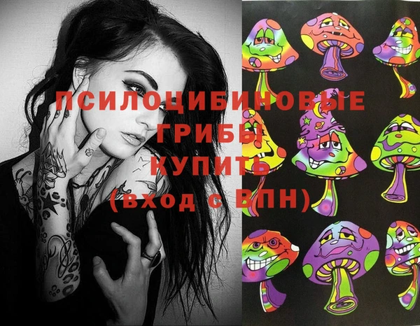 стаф Балахна