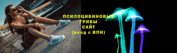 стаф Балахна