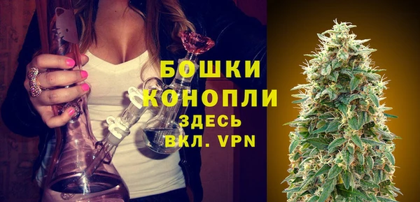 стаф Балахна