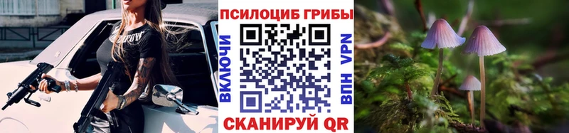 Купить где  Ленинск  Галлюциногенные грибы Psilocybine cubensis 